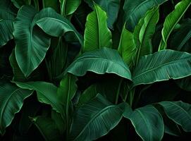 Green natural palm leaf background photo