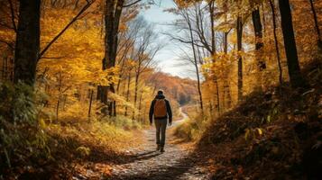 Man hiking in forest with autumn colors photo