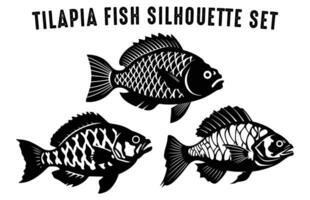 Set of Tilapia fish Silhouette vector illustration, Black Silhouettes of Fish Bundle