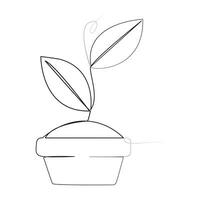 Single line Plant growth processing from seed illustration vector