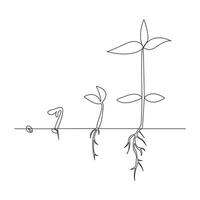 Single line Plant growth processing from seed illustration vector