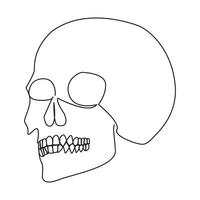 Single line human skull vector art design.