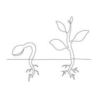 Single line Plant growth processing from seed illustration vector