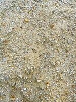 sand texture background with small stones. photo