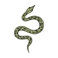 Hand drawn snake doodle with outline. Tropical or Wild West poison viper in the top view. Green dangerous serpent isolated. Vector wildlife concept. Jungle or zoo snake slithering with tongue out.