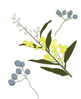 floral branch vector illustration