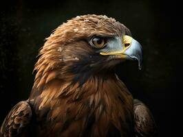 Eagle bird portrait created with Generative AI technology photo