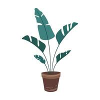 Hand drawn banana tree plant in a pot. Indoor decorations. Trendy tropical botanical illustration. Flat minimalistic design. Plant lovers design. vector