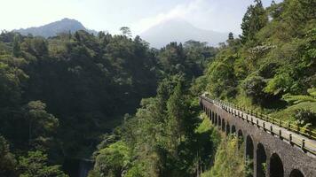 Antenne Drohne Aussicht von ein Brücke im das Mitte von Wald im plunyon, Yogyakarta, Indonesien video