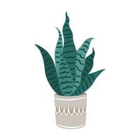 Hand drawn sansevieria plant in a pot. Indoor decorations. Trendy illustration. Flat minimalistic design. Plant lovers design. vector