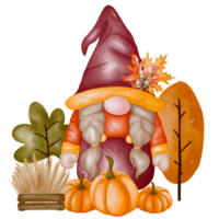 Autumn Gnome Cute Png
