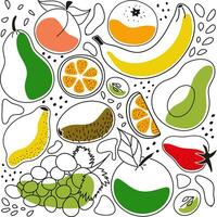 Doodles contour set of illustrations of fruits and berries - apple, peach, pear, avocado, citrus, orange, strawberry, banana, grape, kiwi, lemon, tangerine vector