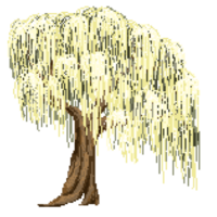 Pixel willow tree png