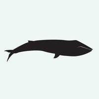 Blue whale vector png