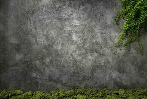 Scratched nature background with moss and plants photo