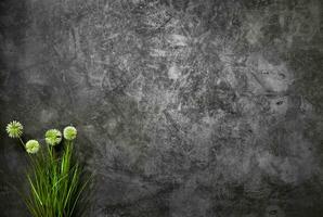 Urban background with plant ground natural flower backdrop photo