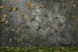 Moss wooden sticks scratched background artwork photo