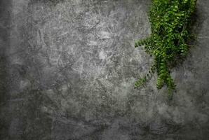 Grunge background green plant kitchen dinner for text photo