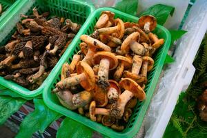 hongos delicioso en el agricultores mercado en yunnan, porcelana. foto