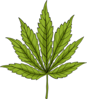 dessin à main levée feuille de cannabis simplicité png