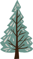 simplicity pine tree freehand drawing png