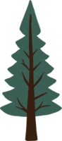 semplicità pino albero a mano libera disegno png