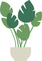 houseplant drawing illustration png