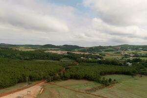 Grass and trees in Xundian, Yunnan, China. photo