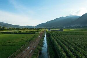 pueblo y campos en shaxi, yunnan, porcelana. foto