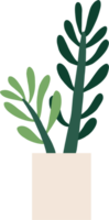 houseplant drawing illustration png