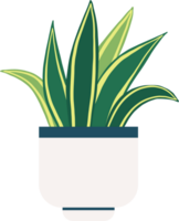 plante d'appartement dessin illustration png