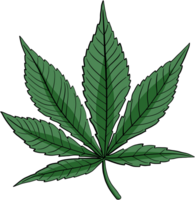 simplicity cannabis leaf freehand drawing png