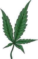 dessin à main levée feuille de cannabis simplicité png