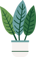 houseplant drawing illustration png