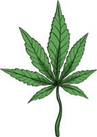 dessin à main levée feuille de cannabis simplicité png