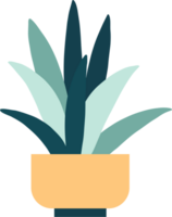 houseplant drawing illustration png