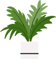 houseplant drawing illustration png