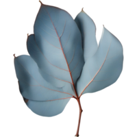 bleu eucalyptus feuille. ai génératif png