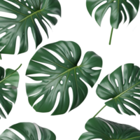 Green Monstera Leaf. AI Generative png