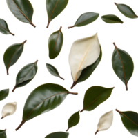 ampio magnolia foglia. ai generativo png