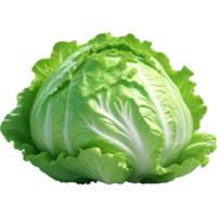 Green iceberg lettuce 3D illustration. AI Generative png