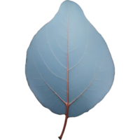 blauw eucalyptus blad. ai generatief png