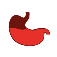 Human stomach icon. Digestive system anatomy. Human internal organs symbol. png