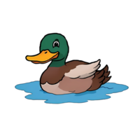 Duck Swimming Hand Drawn Cartoon Style Illustration AI Generated png
