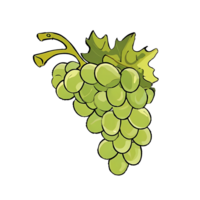 Green Grapes Hand Drawn Cartoon Style Illustration AI Generated png