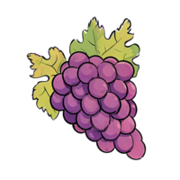 violet les raisins main tiré dessin animé style illustration ai généré png