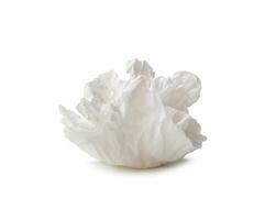 Single screwed or crumpled tissue paper or napkin in strange shape after use in toilet or restroom isolated on white background with clipping path. photo