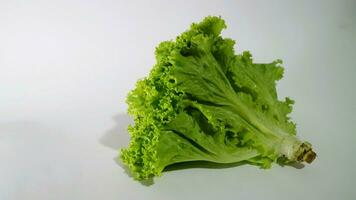 Fresh green lettuce salad leaves isolated white background photo