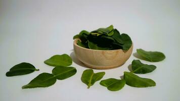 Daun Jeruk Purut. Kaffir lime leaves used for aromatic Indonesian cuisine, including soup, curry, rice, stir fry, chips, and salads. photo