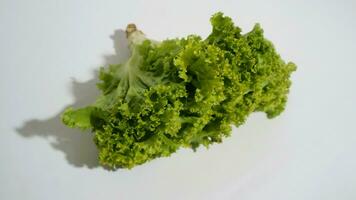 Fresh green lettuce salad leaves isolated white background photo